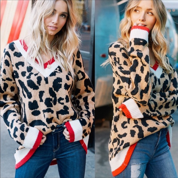 Sweaters - Leopard Print V-Neck Sweater